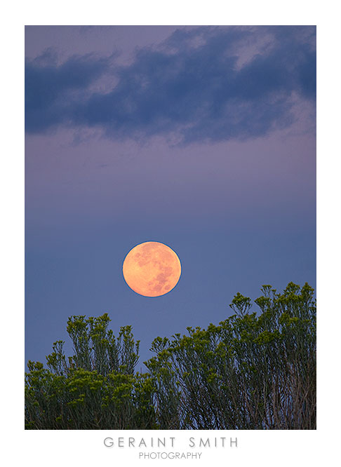 "Chamisa Moon"  (August's "blue moon" setting)
