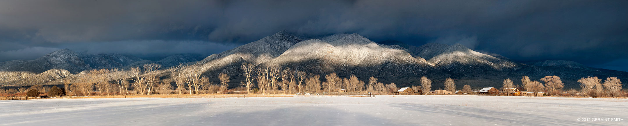 Taos Mountain meadow