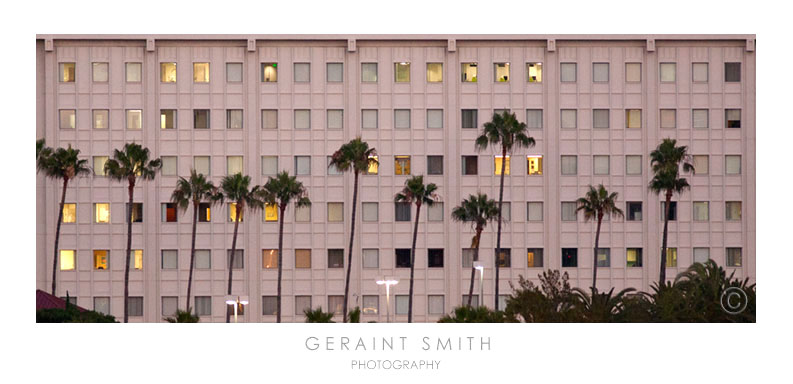 Building Palms, New Port Beach