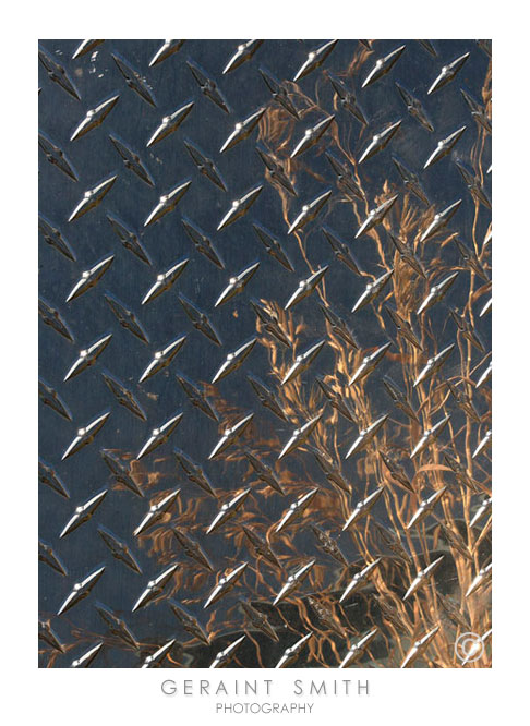 Nature everywhere, reflections in the diamond plate!