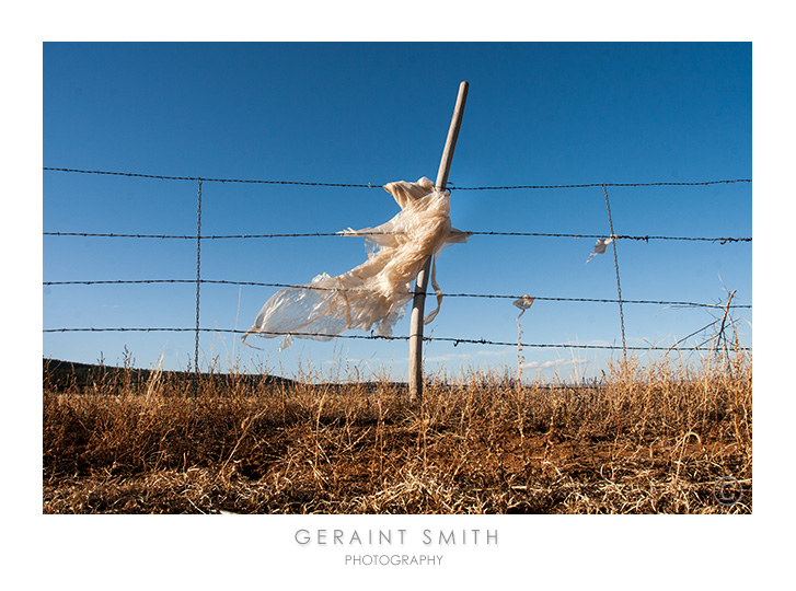 Fence Ghost