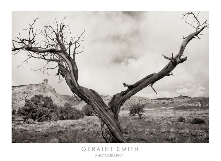 Ghost Ranch, Abiquiu, New Mexico