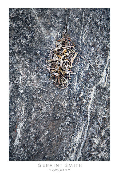 A gathering on the rock