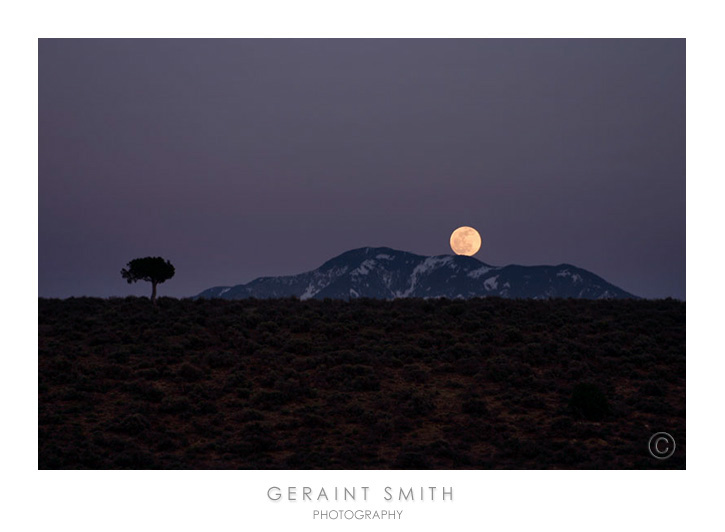 Taos Mountain, la Luna, the mesa and a tree