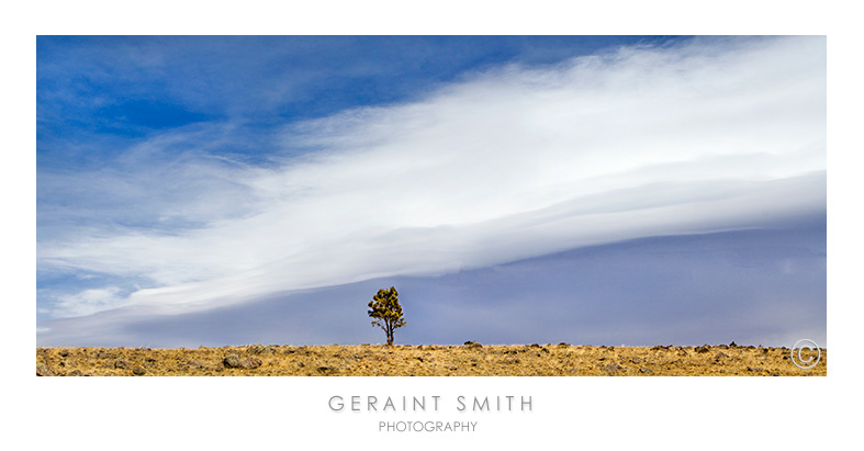 Sky over a tree, Black Lake, NM