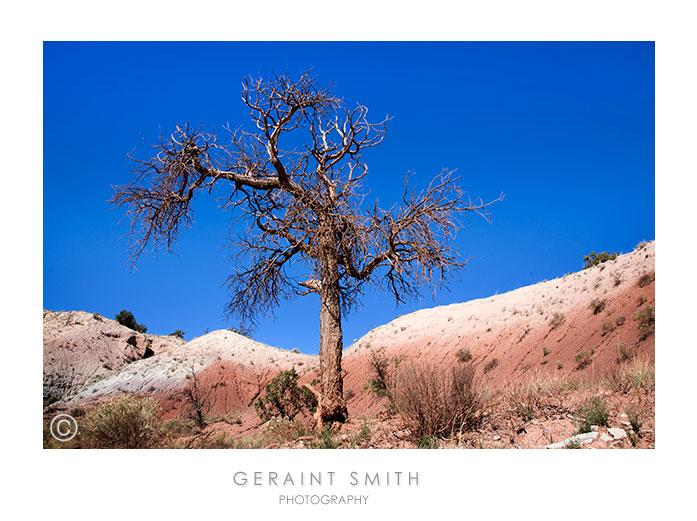 Georgia O'Keeffe country, Abiquiu, NM