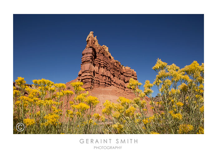 Chamisa and redrocks, fall in New Mexico