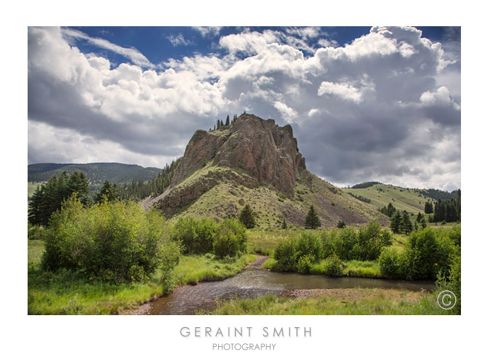 Green summer in the Valle Vidal, NM