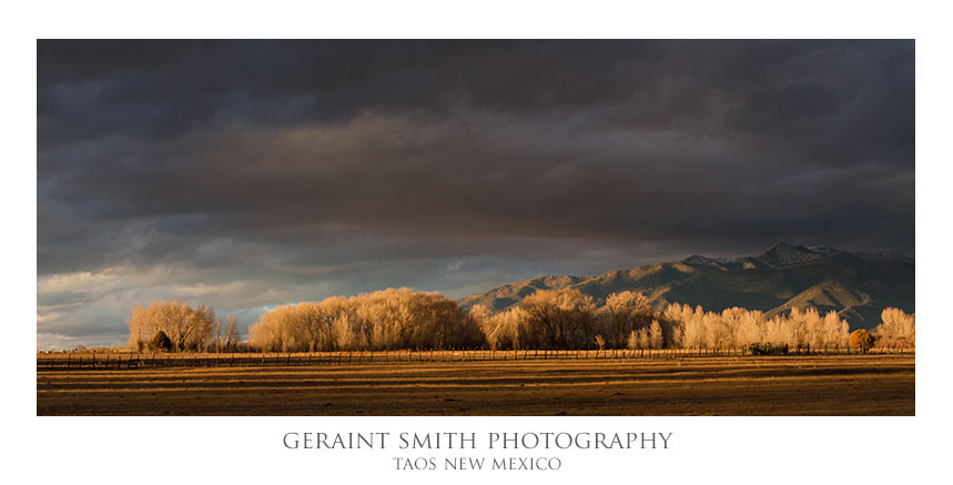 Cottonwoods, meadow and mountains