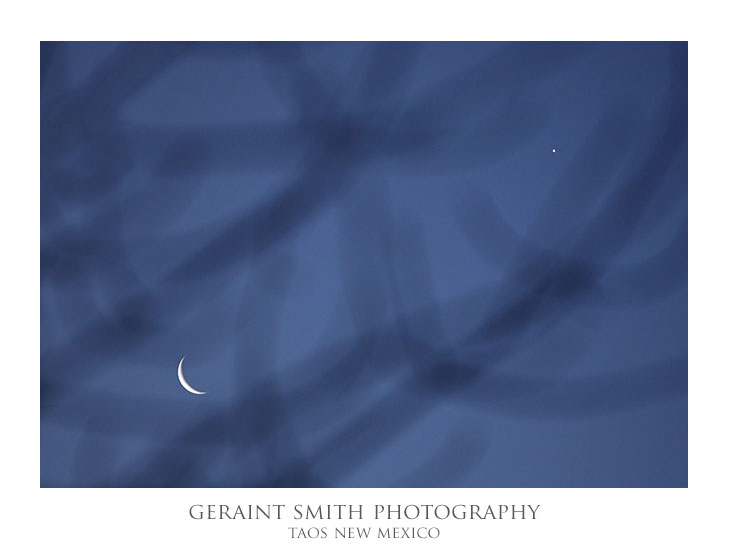 The crescent moon and Venus through the Ash tree in the garden in San Cristobal