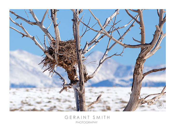 Nest with a view of the high country