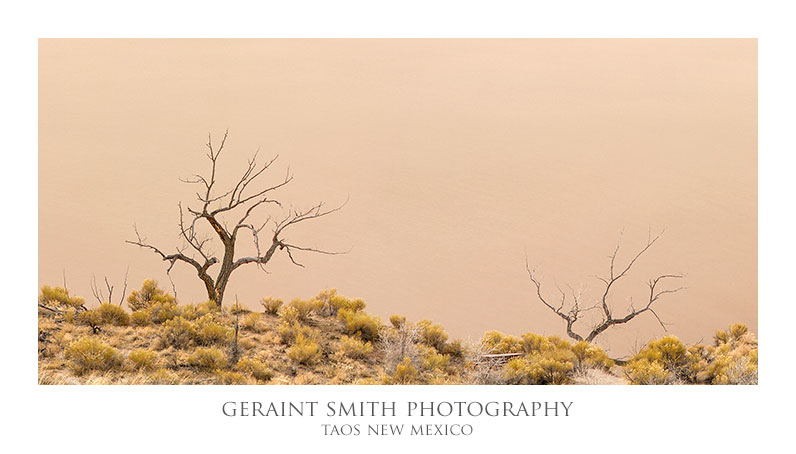 In the Great Sand Dunes, NP