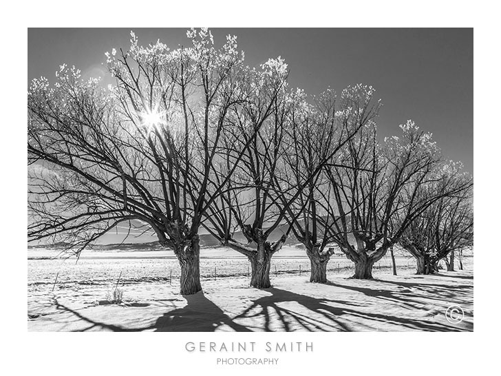 In the San Luis Valley, near the Monte Vista National Wildlife Refuge