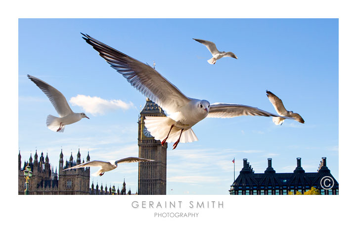 Flashback ... Westminster Embankment last month!