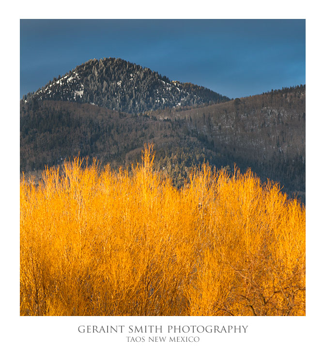 Winter color in Arroyo Seco ... taken on a winter photo tour a few years back