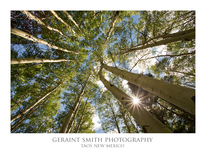 In the aspens, Garcia Park