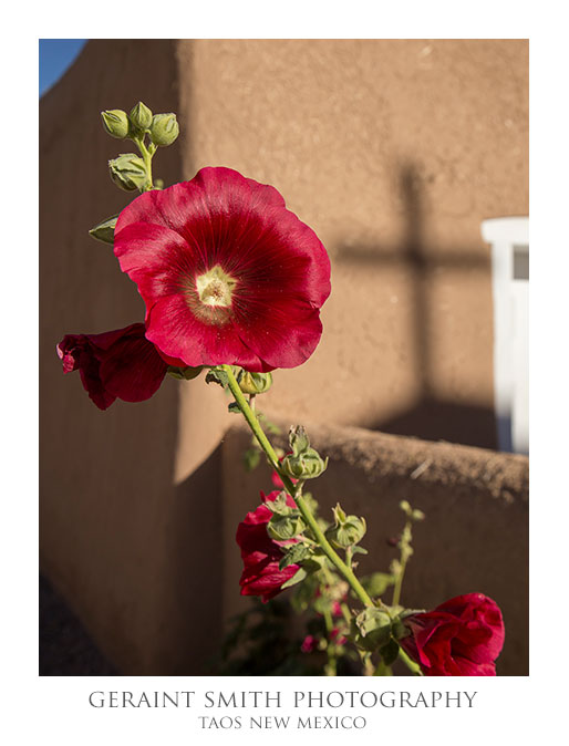 San Francisco de Asis, Ranchos de Taos, NM