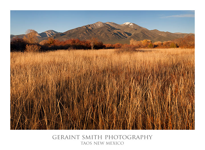 Taos Mountain Meadows