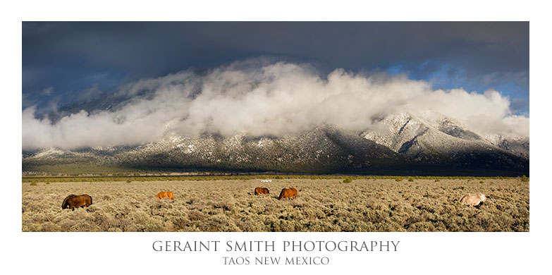 Taos mountain, horses and a white truck