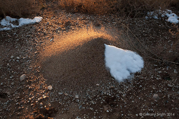 I love ant hills toas san cristobal new mexico nm