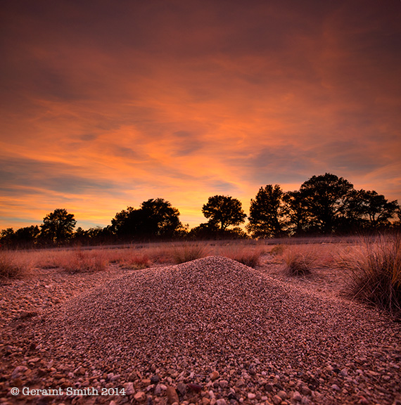 From the ant hill series ... "Home on the road to Hondo"