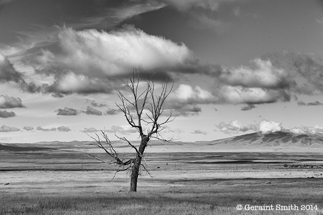 Lone tree el rito nm mexico questa nm san antonio mountain