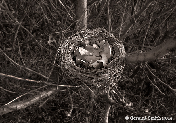 nest san cristobal nm lama foundation