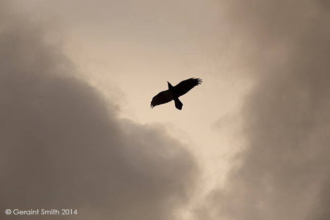 Raven sky taos new mexico san cristobal