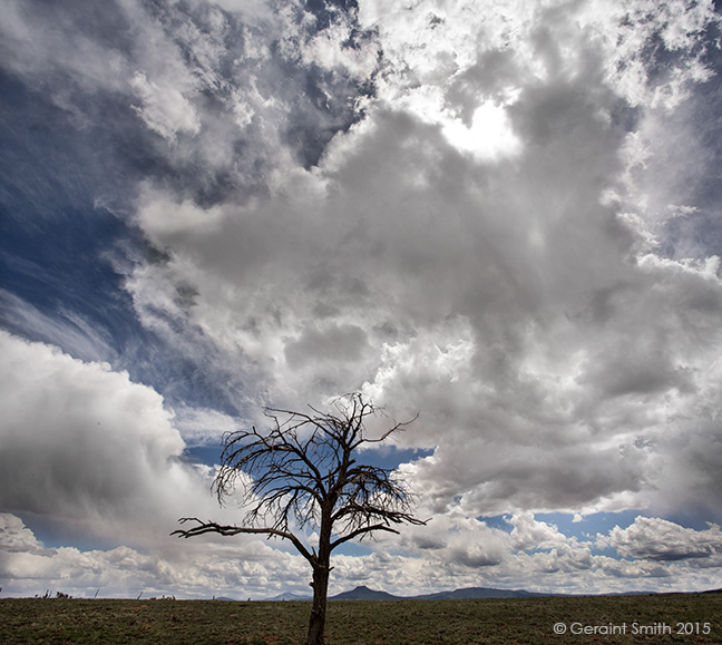 On the Rio Chama Road, Abiquiu, NM