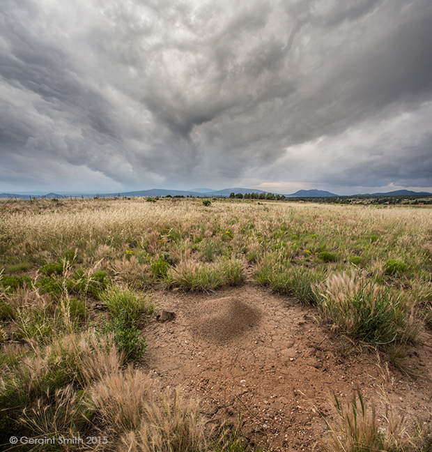 An anthill on the hill san cristobal nm new mexico