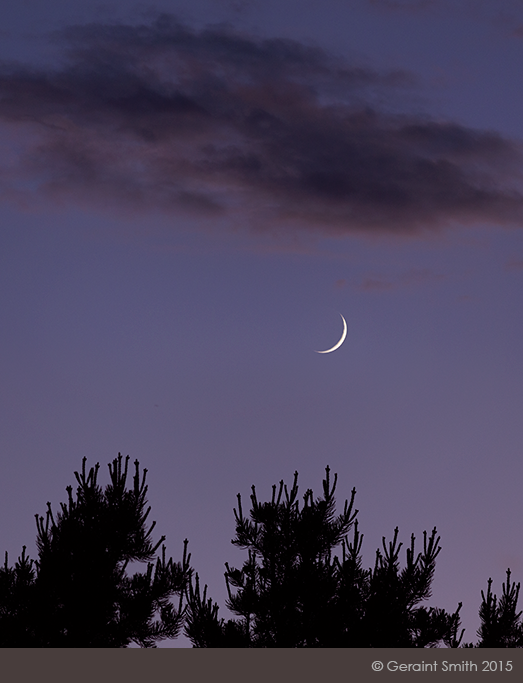 Crescent moon and pine tree candles from San Cristobal