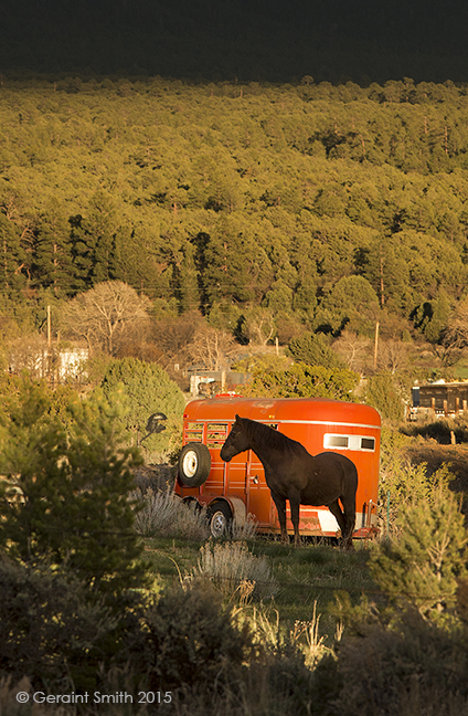 My neighbor's horse, and his traler ... evening in San Cristobal