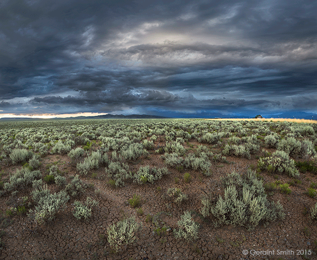 Sage and Sky! taos mesa john dunn road new mexico