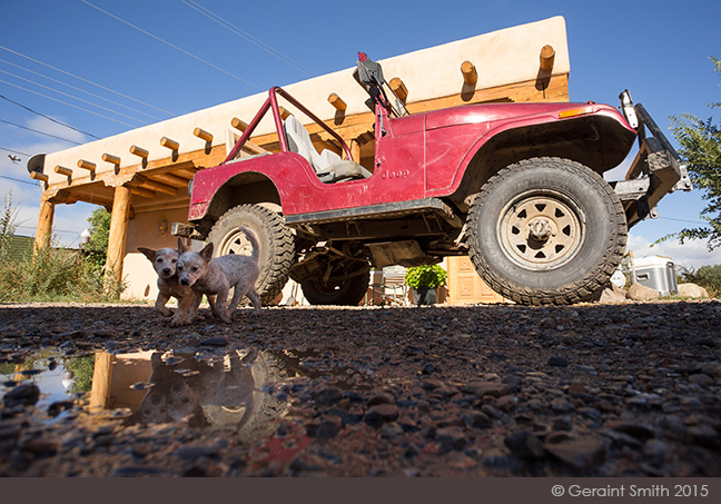 Big red Jeep two little pups, talpa new mexico