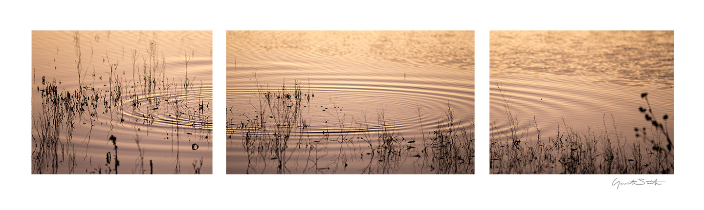 Ripples in the marshes, Bosque del Apache, socorro san antonio NM