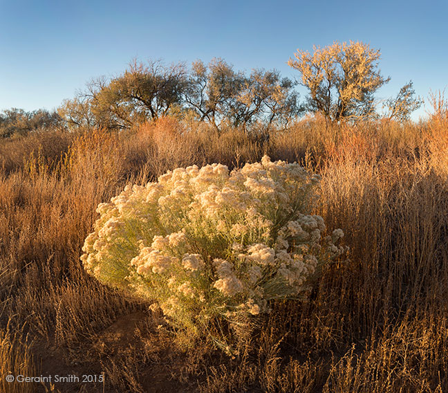 Evening on the New Mexico, Colorado State Line