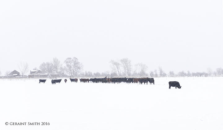 ... and the snow keeps falling ... Winter in the mountains of northern New Mexico