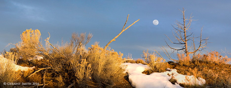 Hedgerow moon rise san cristobal Lama, NM
