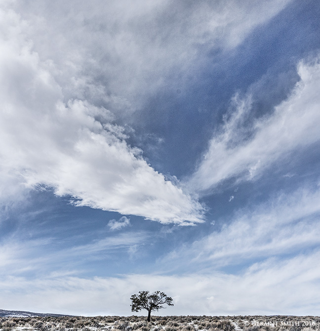 Lone tree wild rivers new mexico