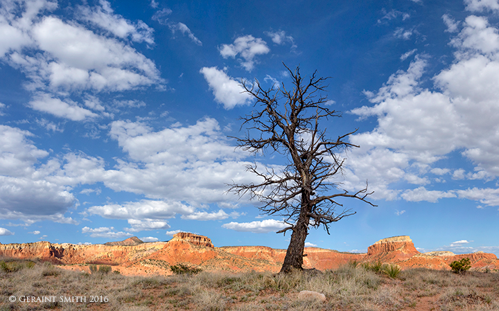 Ghost Ranch, Abiquiu, New Mexico georgia o'keeffe country sky tree mesa red rock