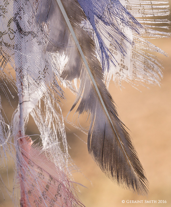 Prayer flags on the mesa feather taos new mexico