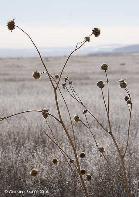 Scenes from a lonely road #1 colorado