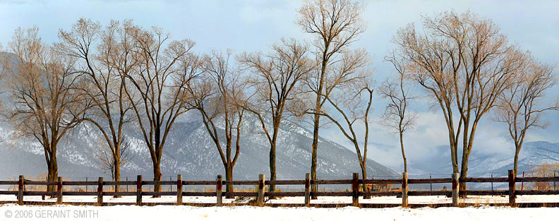 Avenue of trees and Taos mountain near Valdez, NM
