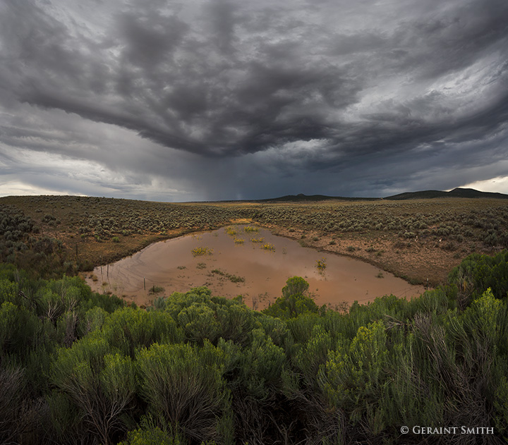 Where the land and storms reside as one mesa west taos arrpyo pond sunflowers