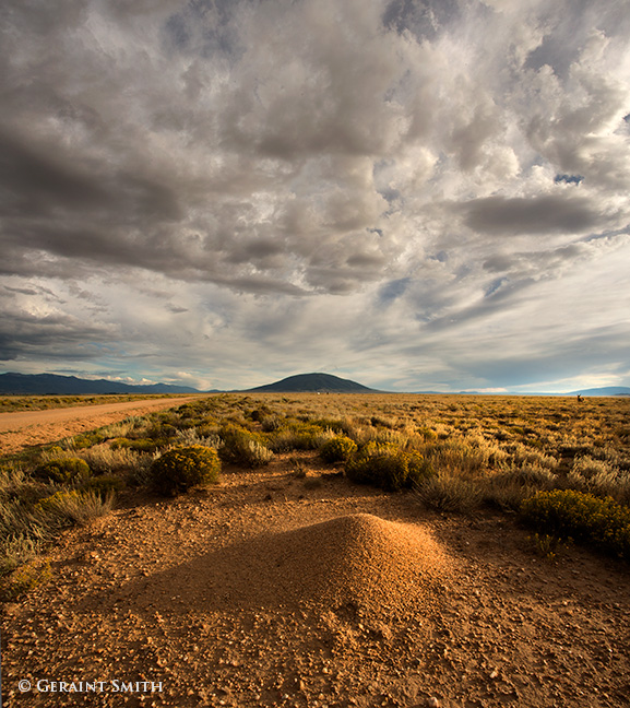 Ute Mountains ... and a Pronghorn loitering around