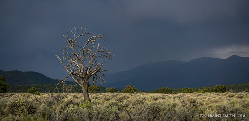 In the Rio Grande del Norte National Monument wild and scenic rivers