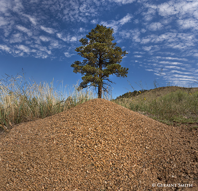 2016 September 09: Anthills into mountains