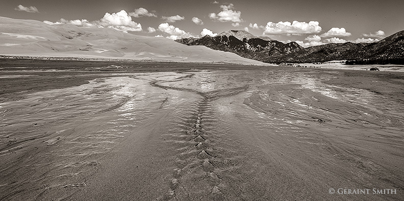 Medano Creek Jewels, Great Sand Dunes National Park, Colorado