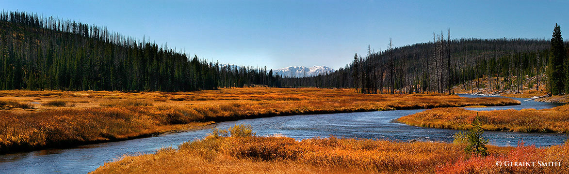 Flashback ... Yellowstone with my two young children 2005. Two weeks of fall color on the road in Colorado, Wyoming, Utah and back to New Mexico