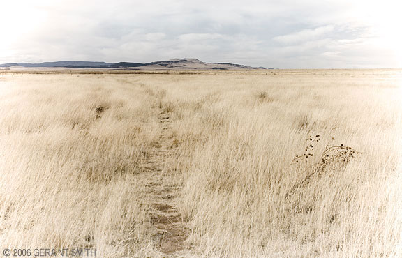 The Santa Fe Trail, New Mexico